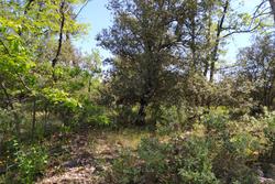 Photos Terrain à vendre Brignoles 83170