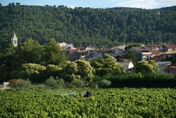 Photos Terrain à vendre Puget-Ville 83390