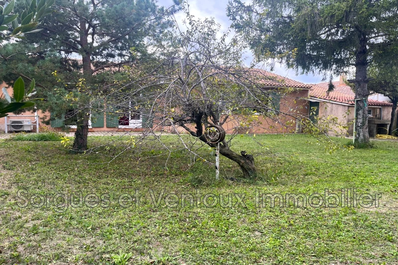 Vente maison L'Isle-sur-la-Sorgue  
