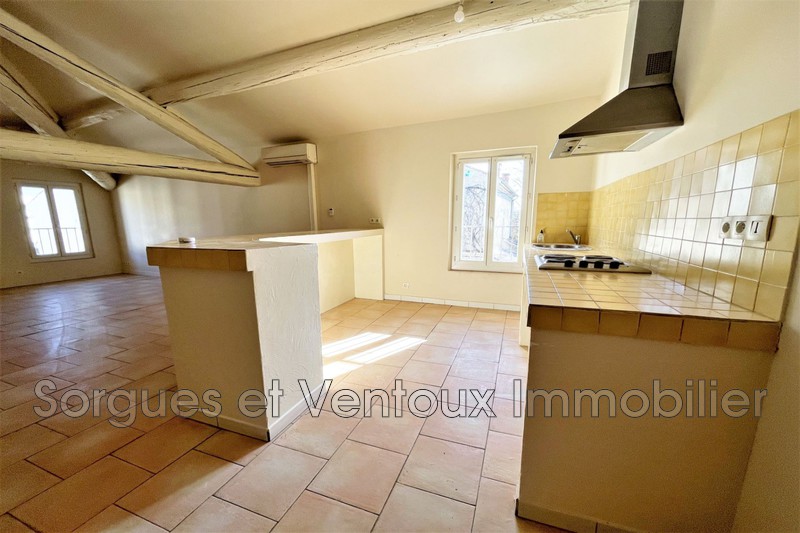 Vente appartement L'Isle-sur-la-Sorgue  