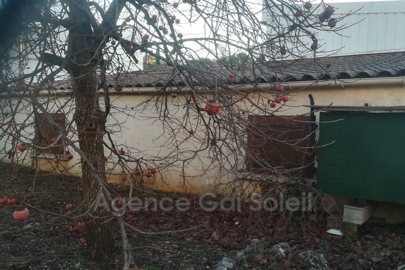 Vente remise Saint-Chinian  