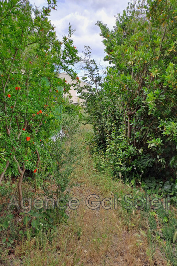 Vente maison de caractère Lespignan  