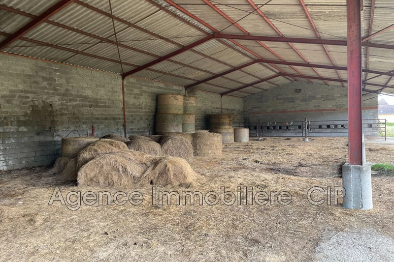 Location hangar Saint-Cyprien  