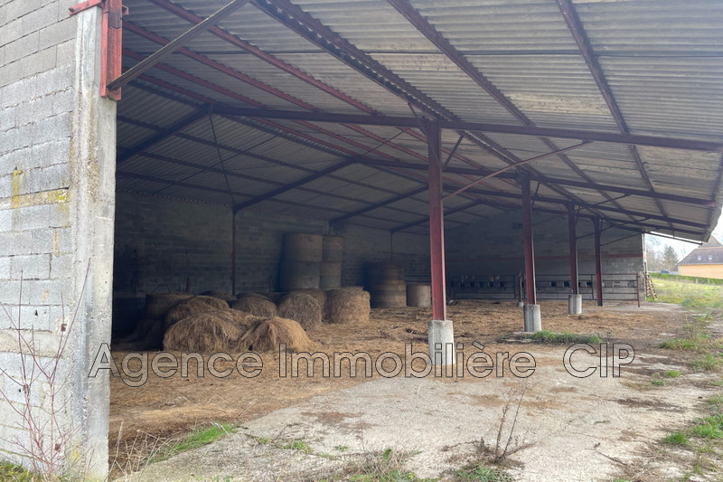 Vente hangar Saint-Cyprien  