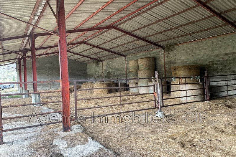 Vente hangar Saint-Cyprien  