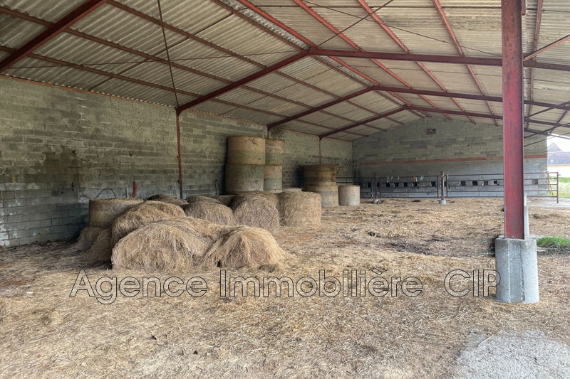 Vente hangar Saint-Cyprien  