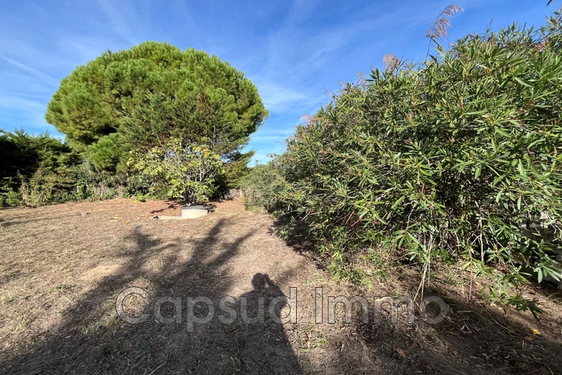 Vente terrain Sérignan  