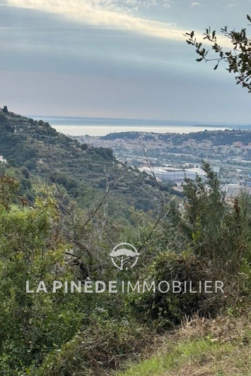 Vente terrain Nice  