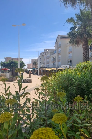 Professionnel murs boutique Gruissan  