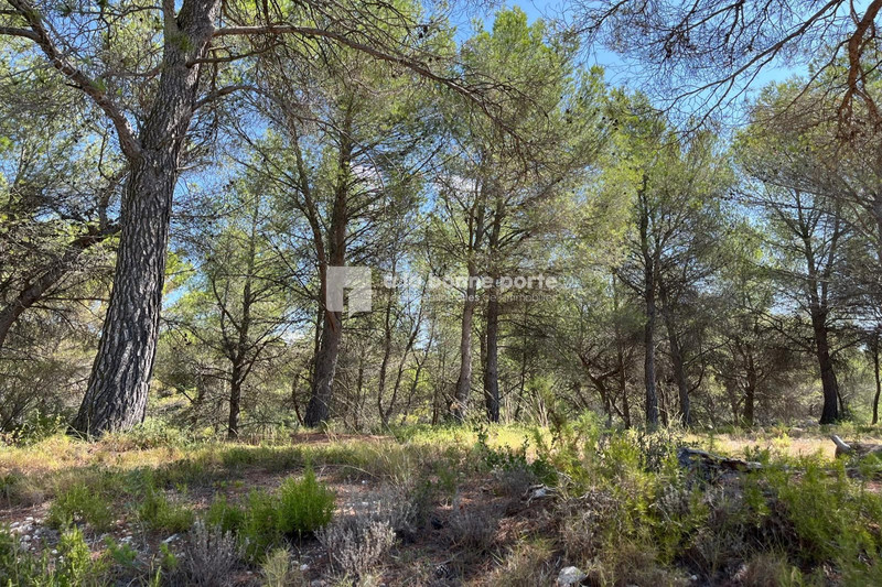 Vente terrain Ventabren  