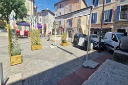 Professionnel  Tourves  