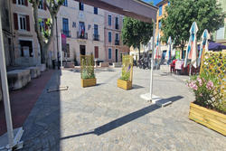 Professionnel  Tourves  