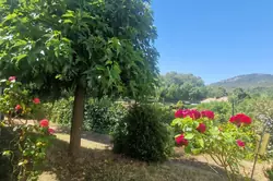 Vente maison Tourves  