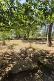 Vente maison Tourves  