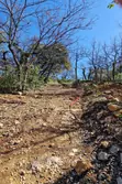 Vente terrain agricole Tourves  