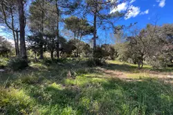 Vente terrain à bâtir Garéoult  