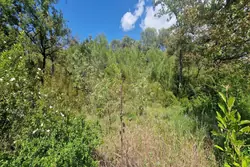 Vente terrain de loisirs Tourves  