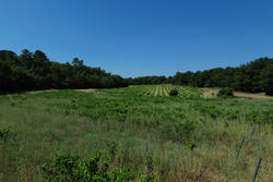 Vente terrain Tourves  