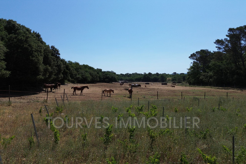 Vente terrain Tourves  