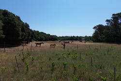 Vente terrain Tourves  