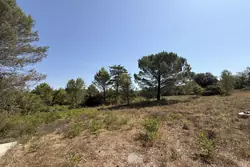 Vente terrain Rougiers  