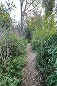 Vente villa provençale Tourves  