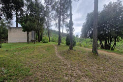 Vente villa provençale Tourves  