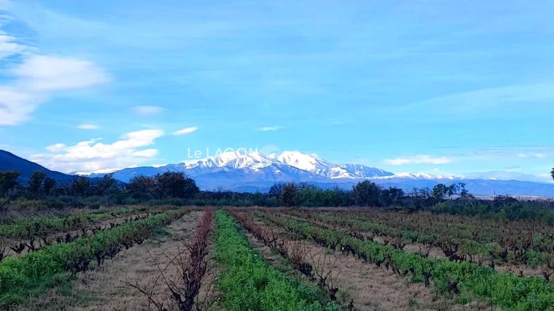 Vente terrain agricole Saint-André Vente terrain agricole Saint-André