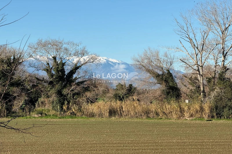 Vente maison Saint-Cyprien-Plage  