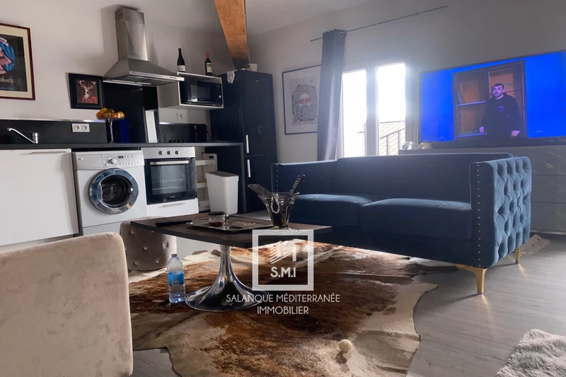 Vente immeuble Torreilles  
