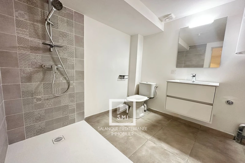 Vente immeuble Saint-Estève  