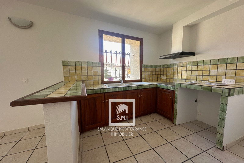 Vente immeuble Néfiach  