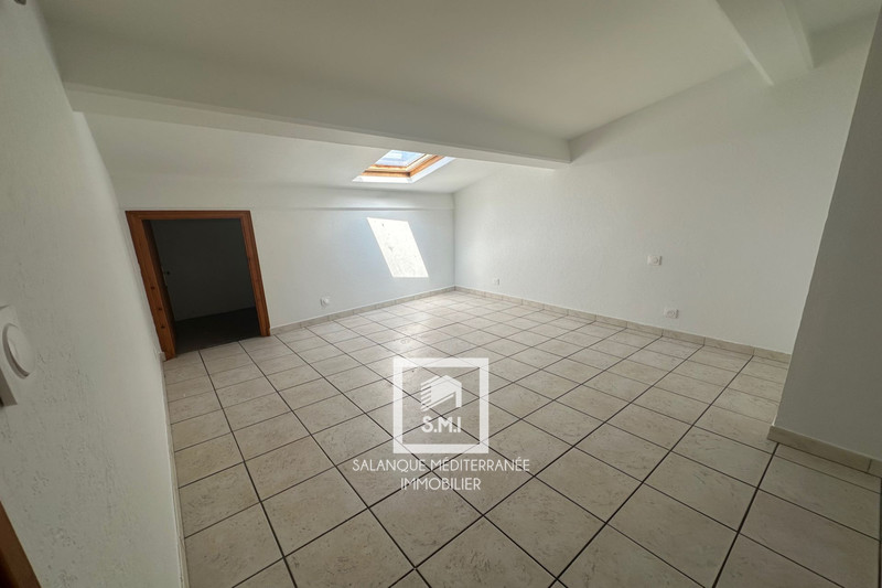 Vente immeuble Néfiach  