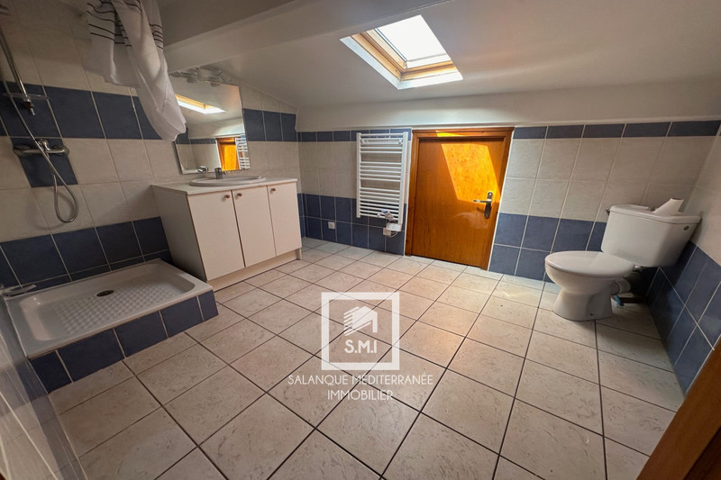 Vente immeuble Néfiach  