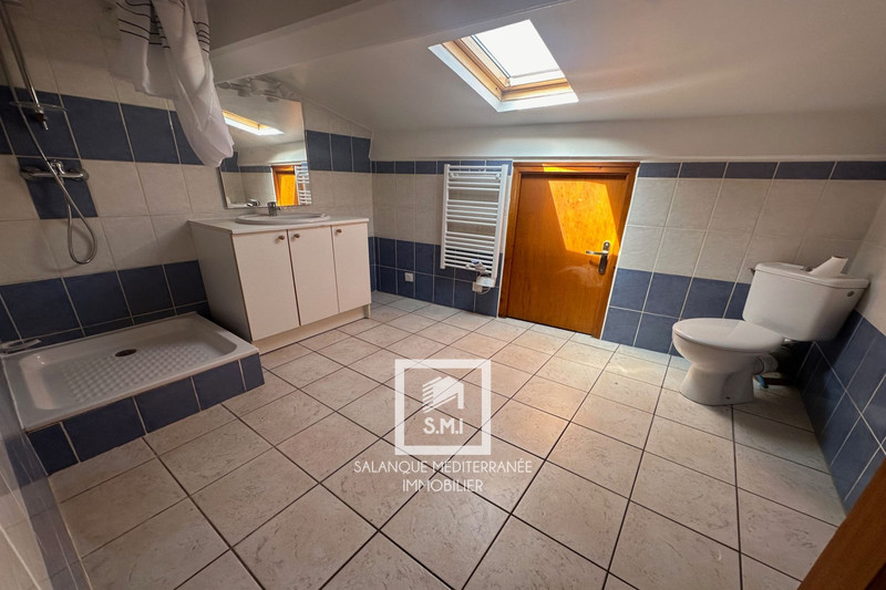 Vente immeuble Néfiach  