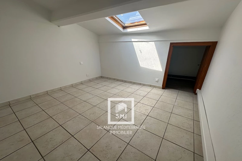 Professionnel immeuble Néfiach  