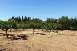 Vente terrain agricole Sauvian  