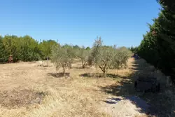Vente terrain agricole Sauvian  