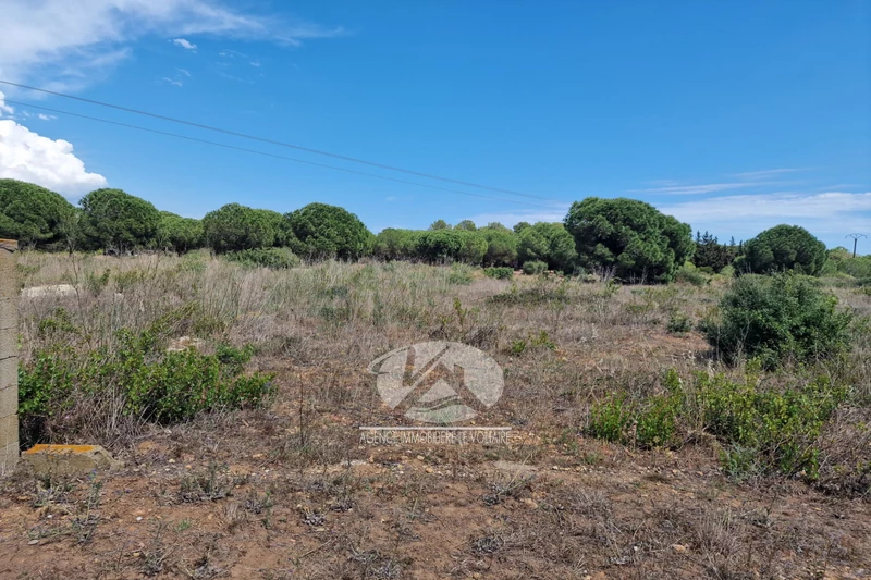 Vente terrain de loisirs Sérignan  