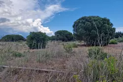Vente terrain de loisirs Sérignan  