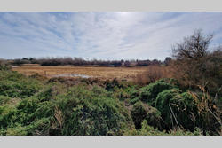 Vente terrain Sérignan  