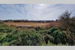 Vente terrain Sérignan  