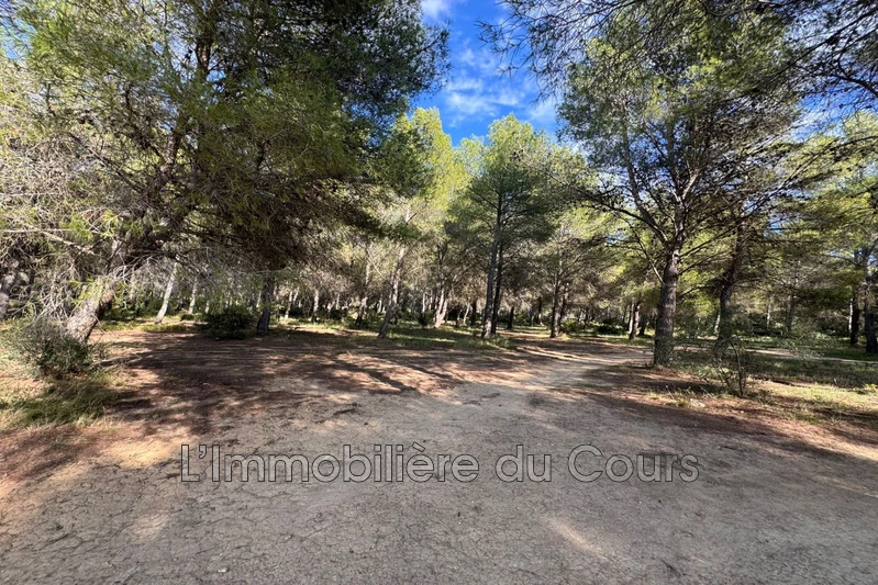 Vente terrain de loisirs Saint-Mitre-les-Remparts  