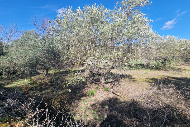 Photo n°8 - Vente terrain Salernes 83690 - 115 000 €
