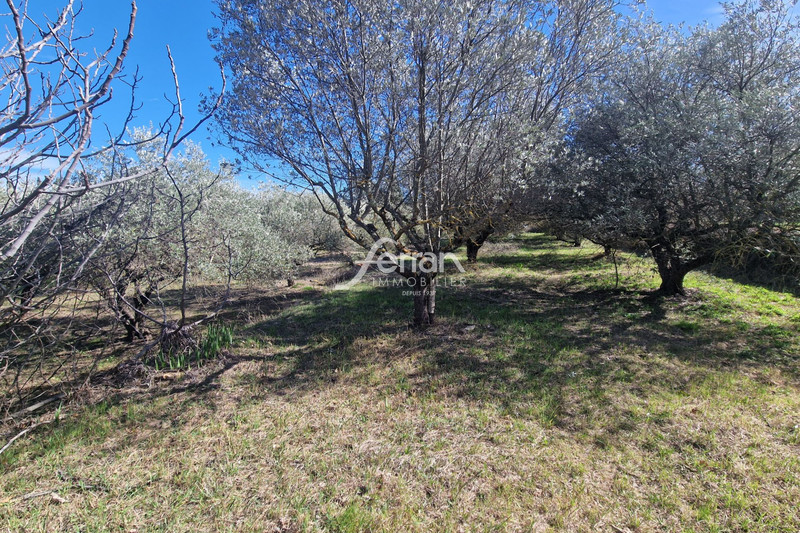Photo n°2 - Vente terrain Salernes 83690 - 115 000 €