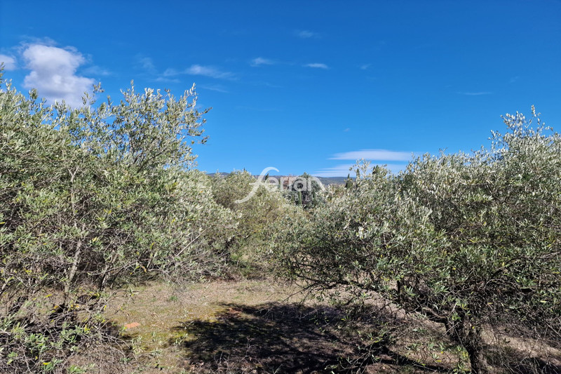 Photo n°6 - Vente terrain Salernes 83690 - 110 000 €