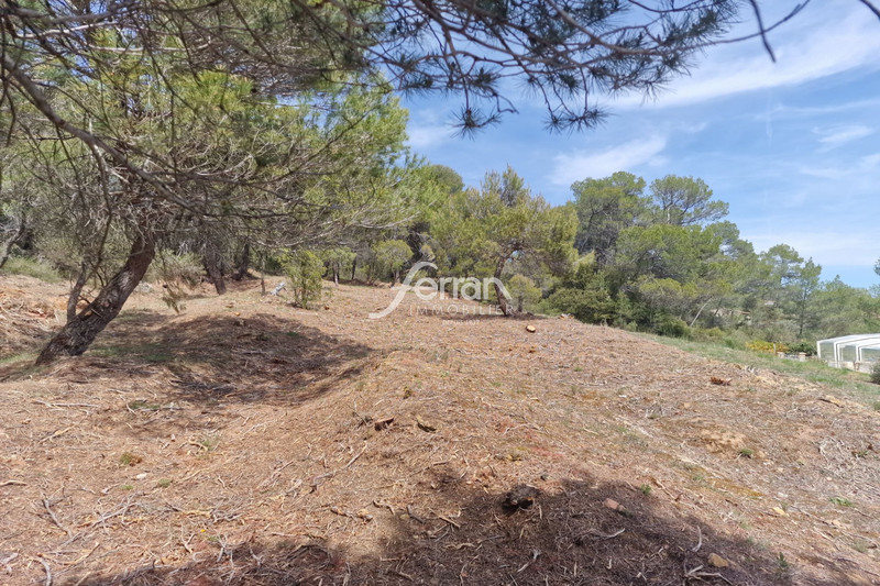 Photo n°7 - Vente terrain Sillans-la-Cascade 83690 - 158 000 €