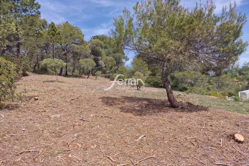Photo n°2 - Vente terrain Sillans-la-Cascade 83690 - 118 000 €