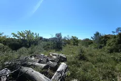 Photos  Terrain à vendre Trans-en-Provence 83720