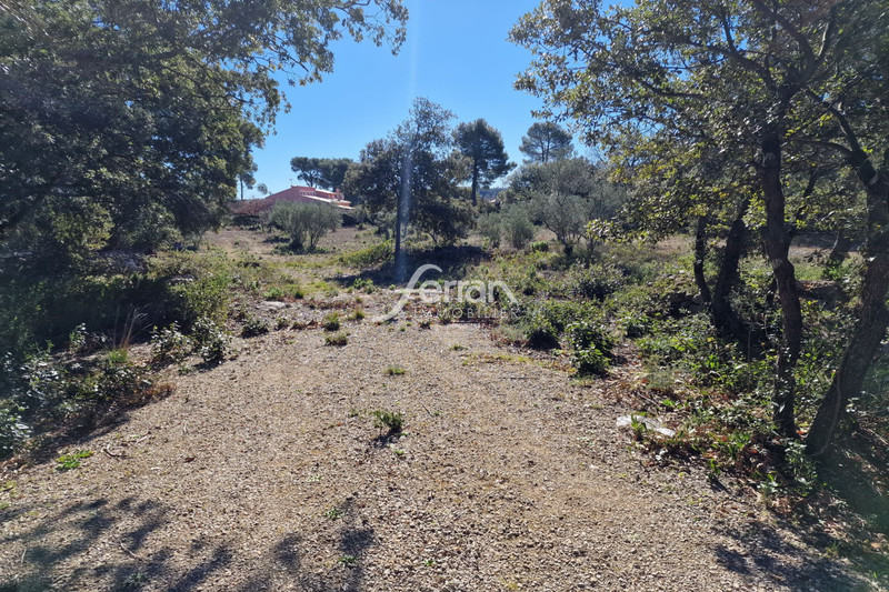 Photo n°2 - Vente terrain Sillans-la-Cascade 83690 - 121 000 €